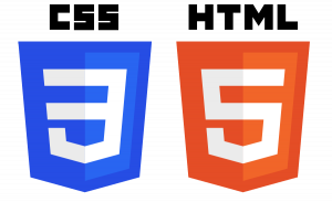 We can edit HTML and CSS Websites
