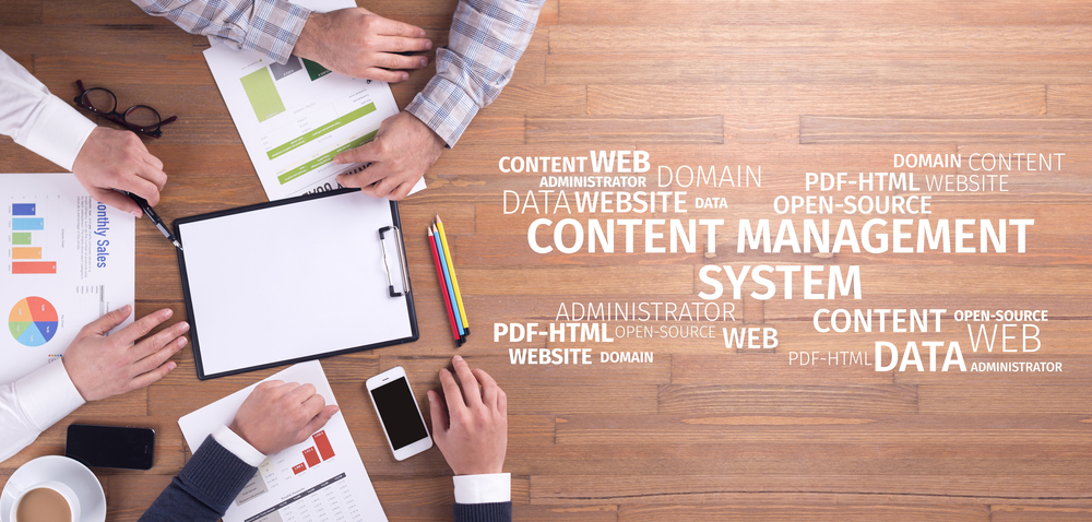Beginner’s Guide to Using Wix CMS